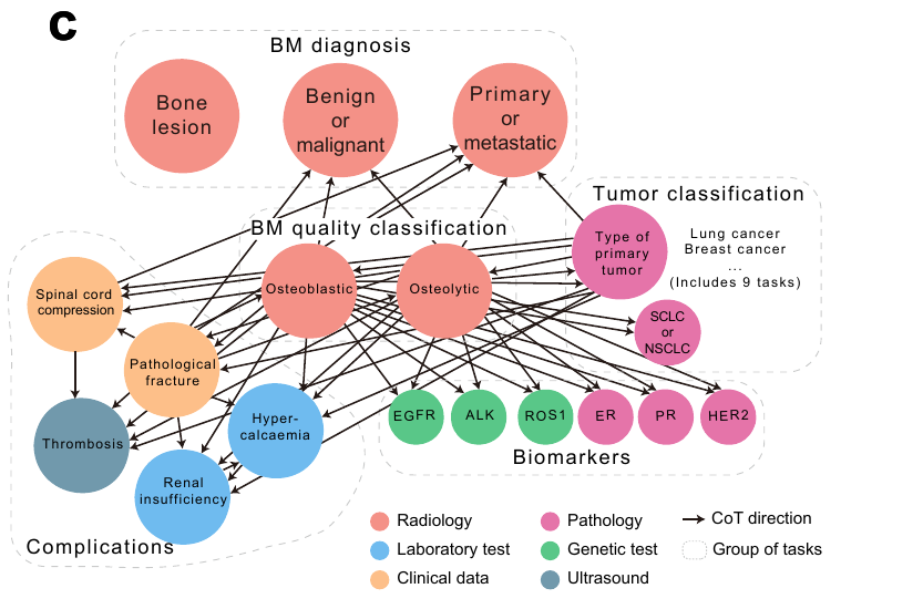 Figure 1c showing clinician-derived task relation graph for bone metastasis diagnosis, quality classification, tumour classification, biomarkers, and complications.