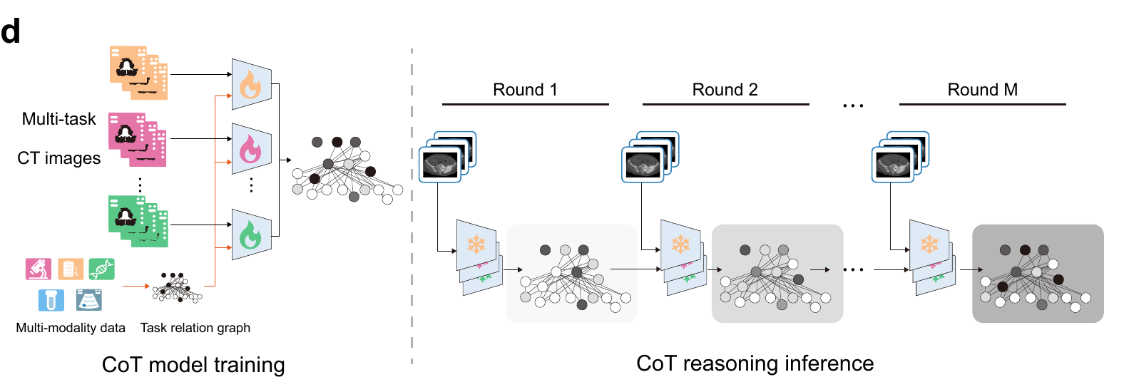 Figure 1d workflow showing BoneCoT model training and clinician-guided reasoning inference.