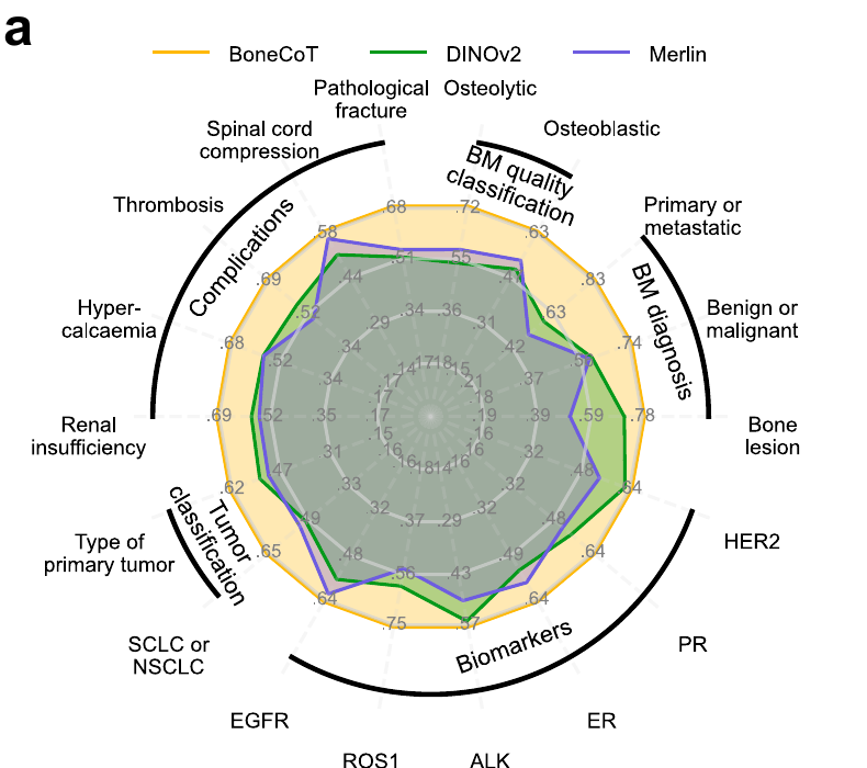 Figure 2a radar plot comparing BoneCoT with DINOv2 and Merlin across bone-related tasks.
