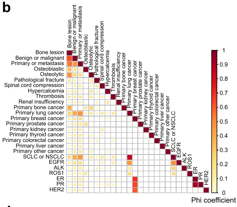 Figure 2b heatmap of Phi coefficients among bone-related diagnostic and clinical tasks.