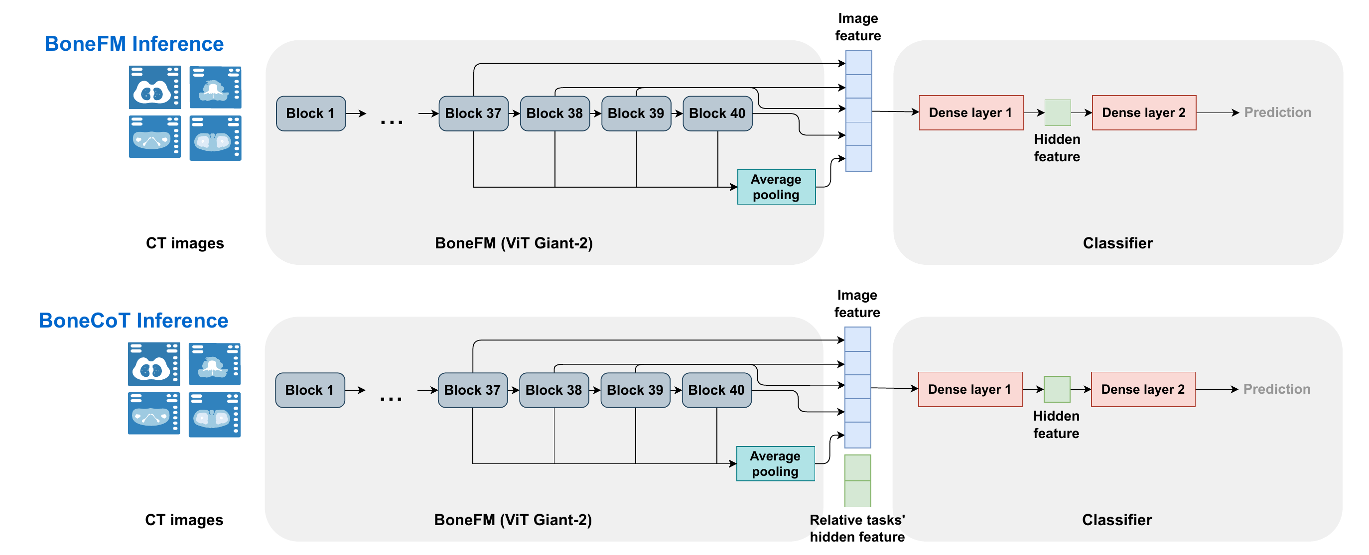 Supplementary model framework showing BoneFM inference and BoneCoT inference architecture from CT images to prediction.